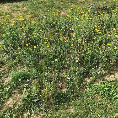 Ferienhaus In Mit Grossem Garten * Zandt